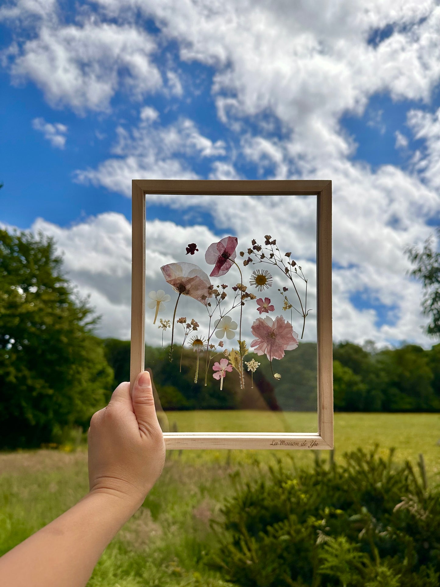 Transparent herbarium - My garden n°112