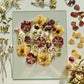 DRIED FLOWERS YOURSELF - 30x40 cm - Preserving wedding bouquet between two glasses 